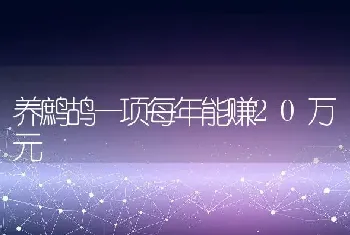 养鹧鸪一项每年能赚20万元