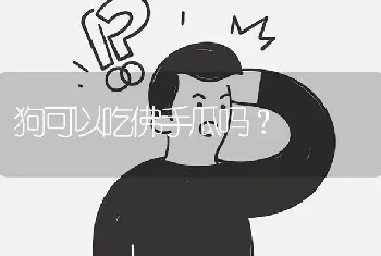 狗可以吃佛手瓜吗？