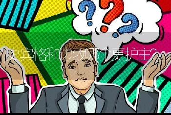 史宾格和边牧哪个更护主？