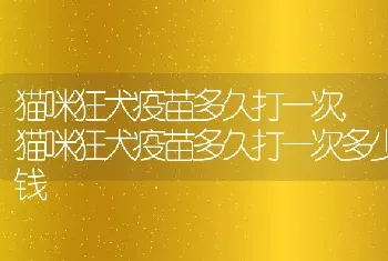 猫咪狂犬疫苗多久打一次，猫咪狂犬疫苗多久打一次多少钱