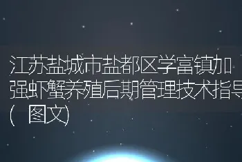 江苏盐城市盐都区学富镇加强虾蟹养殖后期管理技术指导(图文)