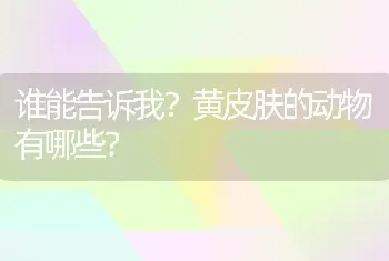 谁能告诉我？黄皮肤的动物有哪些？