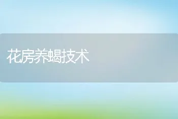 花房养蝎技术