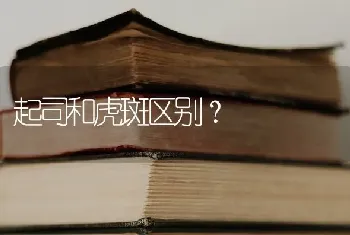 起司和虎斑区别？