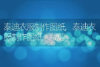 泰迪衣服制作图纸，泰迪衣服制作图纸 裁剪