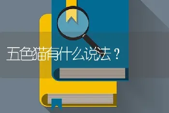 五色猫有什么说法？