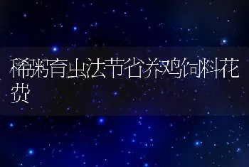 稀粥育虫法节省养鸡饲料花费