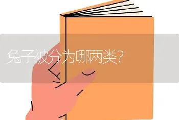 兔子被分为哪两类？