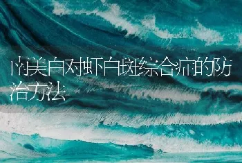 南美白对虾白斑综合症的防治方法