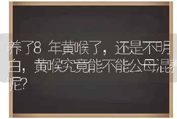 养了8年黄喉了，还是不明白，黄喉究竟能不能公母混养呢？