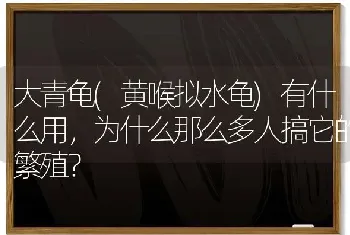 大青龟(黄喉拟水龟)有什么用，为什么那么多人搞它的繁殖？