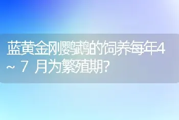 今天捡了只流浪猫。跳蚤太多了。洗不玩。怎么能快速去跳蚤？