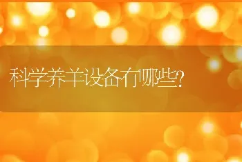 科学养羊设备有哪些？