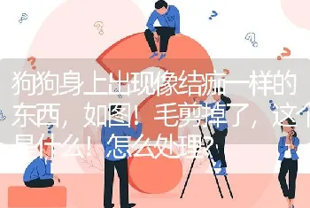 从两个月开始养的，萨摩耶养了三个月，会不会记得主人。我家狗狗在楼下玩，被一个小姑娘给偷走了，不知？