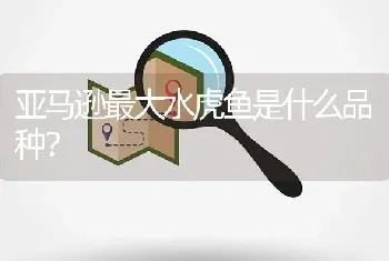 亚马逊最大水虎鱼是什么品种？