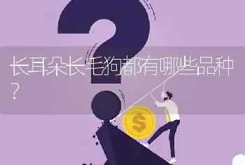 长耳朵长毛狗都有哪些品种？