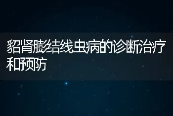 貂肾膨结线虫病的诊断治疗和预防