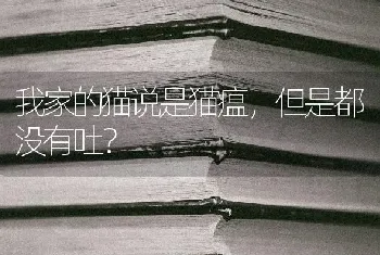 柯基犬的喂养，每天喂饲食物的量要适度？