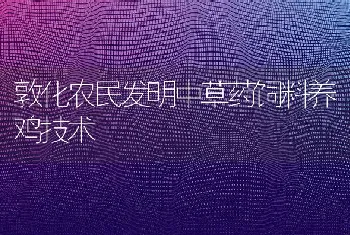 敦化农民发明中草药饲料养鸡技术