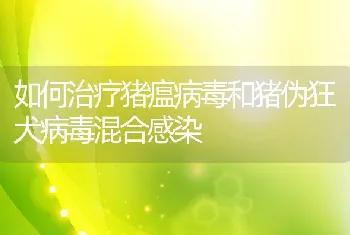 如何治疗猪瘟病毒和猪伪狂犬病毒混合感染