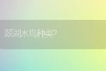 翠湖水鸟种类？