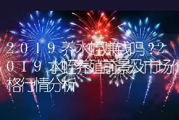 2019养水蛭赚钱吗？2019水蛭养殖前景及市场价格行情分析