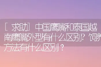 [求助]中国鹰嘴和泰国越南鹰嘴外型有什么区别?饲养方法有什么区别？