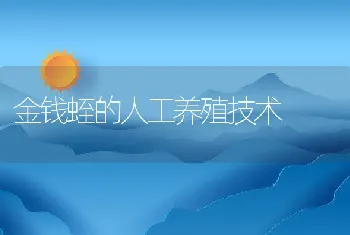 金钱蛭的人工养殖技术