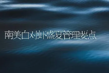 南美白对虾盛夏管理要点