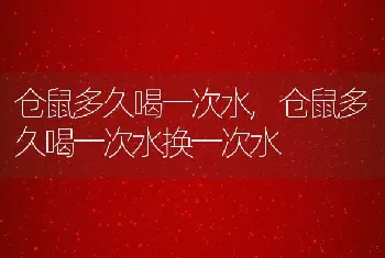 仓鼠多久喝一次水，仓鼠多久喝一次水换一次水