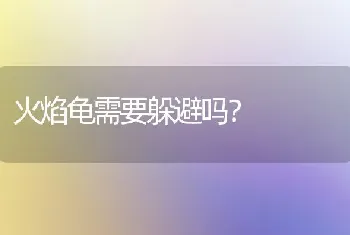 火焰龟需要躲避吗？