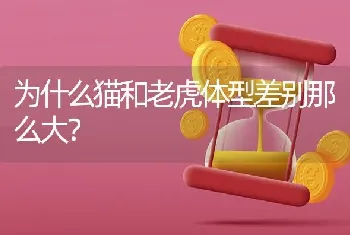 为什么猫和老虎体型差别那么大？