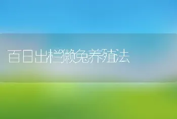 百日出栏獭兔养殖法