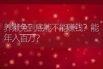 养獭兔到底能不能赚钱？能年入百万？