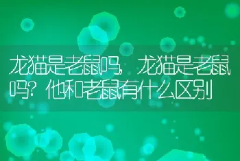 龙猫是老鼠吗，龙猫是老鼠吗？他和老鼠有什么区别