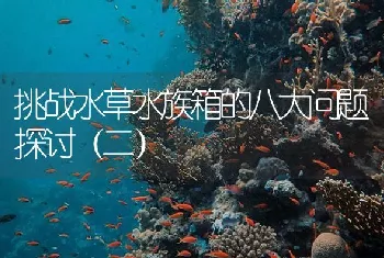 挑战水草水族箱的八大问题探讨（二）