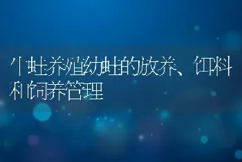 牛蛙养殖幼蛙的放养、饵料和饲养管理