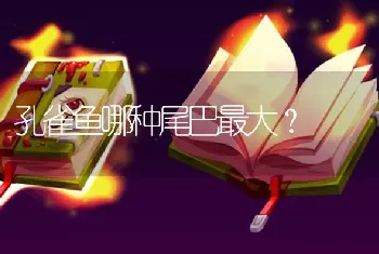 孔雀鱼哪种尾巴最大？