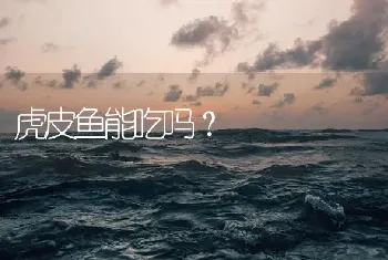 虎皮鱼能吃吗？