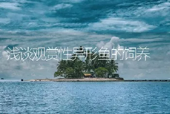 浅谈观赏性异形鱼的饲养