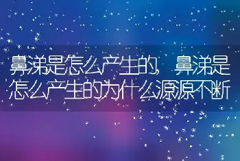 鼻涕是怎么产生的，鼻涕是怎么产生的为什么源源不断