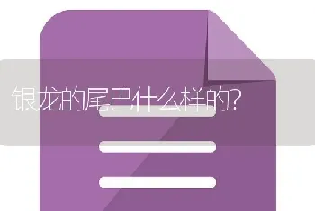 银龙的尾巴什么样的？