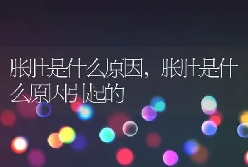 胀肚是什么原因，胀肚是什么原因引起的