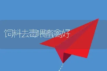 流行鸭病的防治