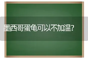 墨西哥蛋龟可以不加温？