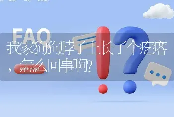 我家狗狗脖子上长了个疙瘩，怎么回事啊？