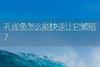 孔雀鱼怎么能快速让它繁殖？