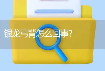 银龙弓背怎么回事？