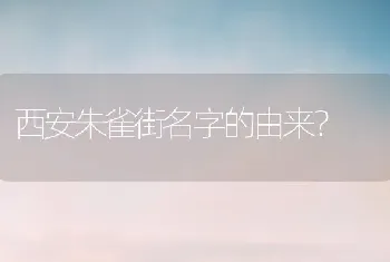 西安朱雀街名字的由来？