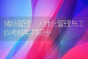 猪场管理：人性化管理与工作考核奖罚同步